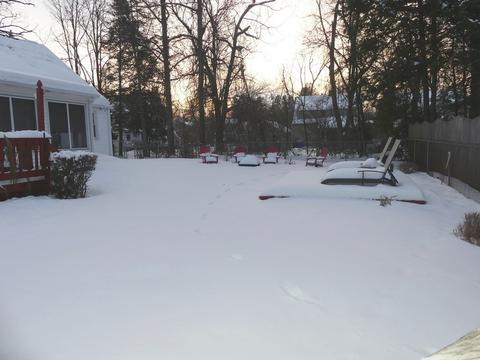 38 Ford St, Springfield, MA 01118 photo 30
