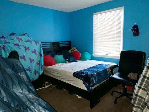 103 Barre St, Springfield, MA 01119 photo 6