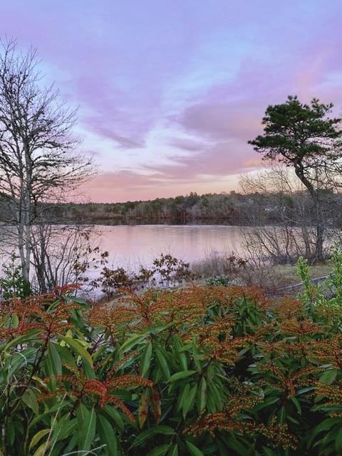 10 Cherry St, Bourne, MA 02532 photo 36