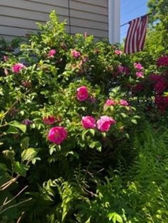 81 Locust St, Danvers, MA 01923 photo 28