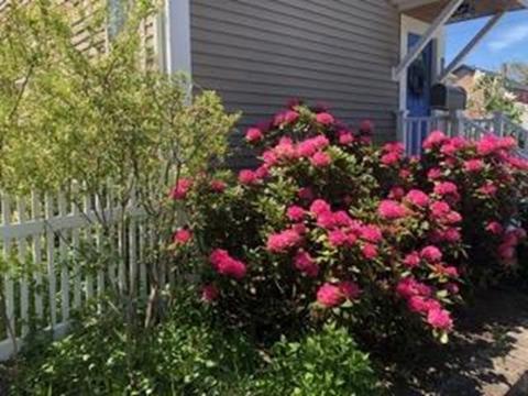 81 Locust St, Danvers, MA 01923 photo 30