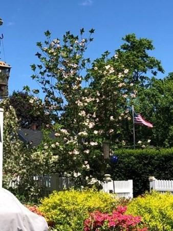 81 Locust St, Danvers, MA 01923 photo 29