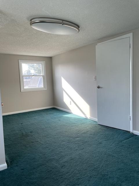 52 Pheland St, Springfield, MA 01109 photo 28