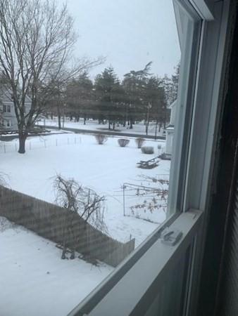 14 Pasco Rd, Springfield, MA 01151 photo 19