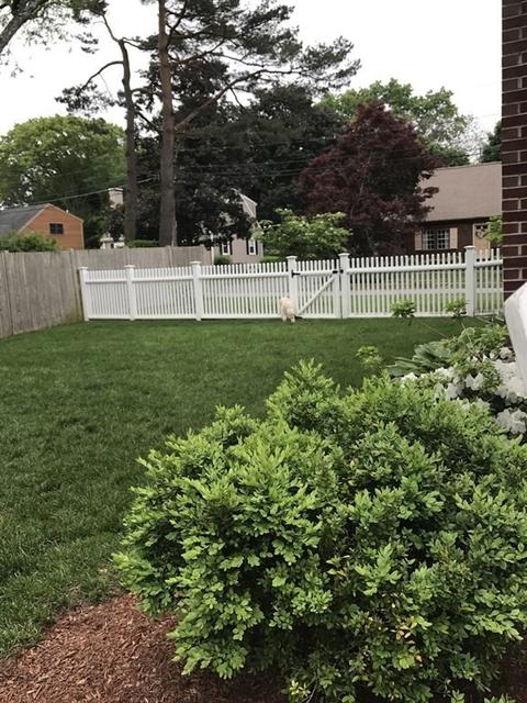 42 Alden Rd, Needham, MA 02492 photo 30