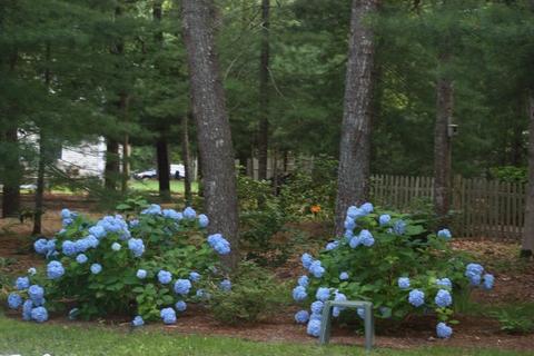 61 Yardarm Dr, Mashpee, MA 02649 photo 33