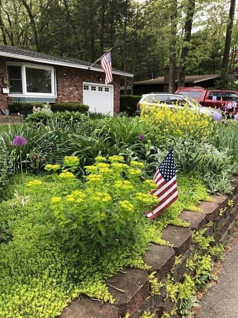 2 Spring Ln, Framingham, MA 01701 photo 36
