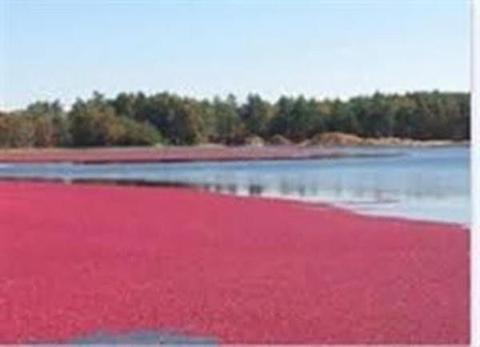 18 Pond Edge Trl, Wareham, MA 02571 photo 26