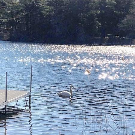 18 Pond Edge Trl, Wareham, MA 02571 photo 20