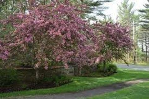 18 Pond Edge Trl, Wareham, MA 02571 photo 24