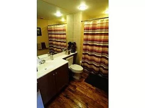 1 Envelope Ter #305, Worcester, MA 01604 photo 6