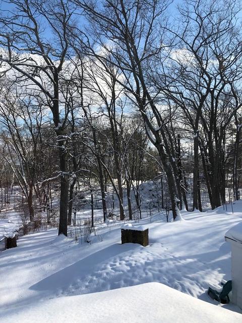 267 Sprague, Dedham, MA 02026 photo 24