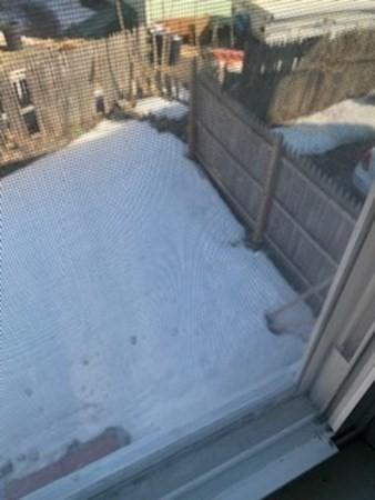 13 Lyon St, Worcester, MA 01604 photo 20