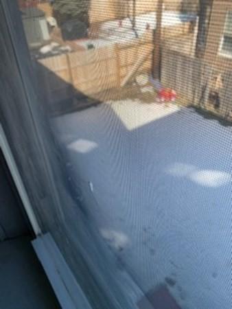 13 Lyon St, Worcester, MA 01604 photo 19