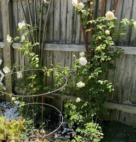 10 Prospect Ave, Hull, MA 02045 photo 37