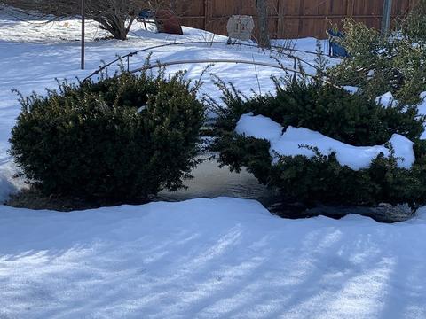 54 Abbott St, Gardner, MA 01440 photo 35