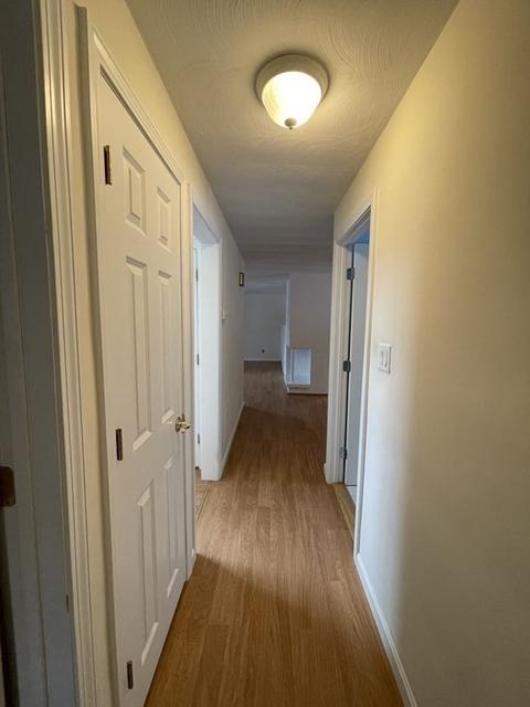 46 Donna Rd, Framingham, MA 01701 photo 14