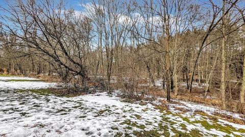 170 E Hadley Rd #100, Amherst, MA 01002 photo 21