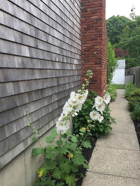 35 Cedar St, Marblehead, MA 01945 photo 9
