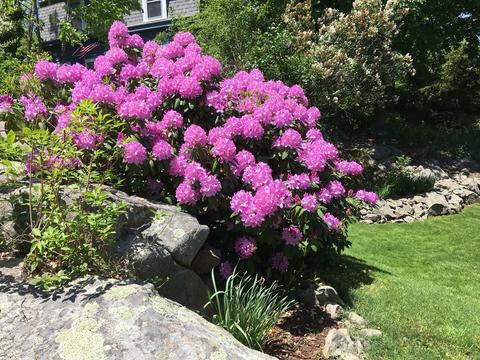 216 Hull St, Hingham, MA 02043 photo 24