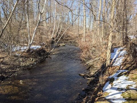 21 Patch Reservoir Dr, Worcester, MA 01602 photo 11