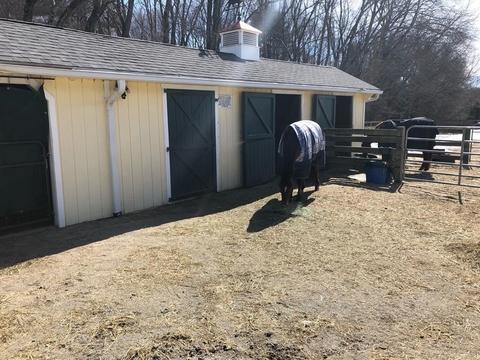 16 Pierce Rd, Sutton, MA 01590 photo 22