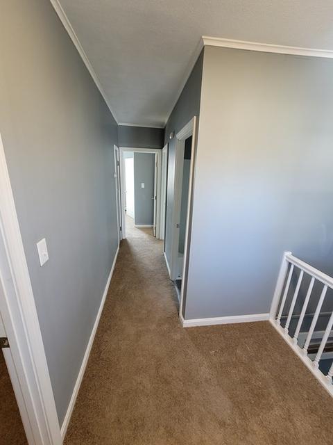 176 Anthony St, Fall River, MA 02721 photo 11