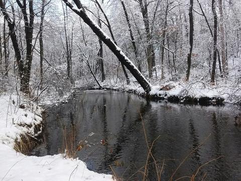 203 Murphy Ln, Chicopee, MA 01020 photo 30