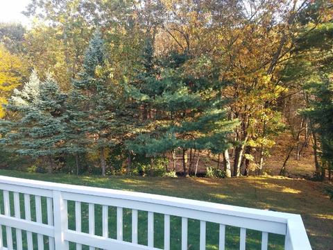 203 Murphy Ln, Chicopee, MA 01020 photo 34