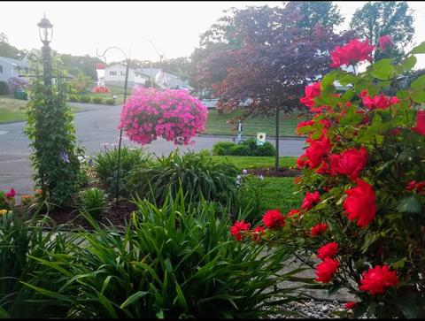 203 Murphy Ln, Chicopee, MA 01020 photo 31