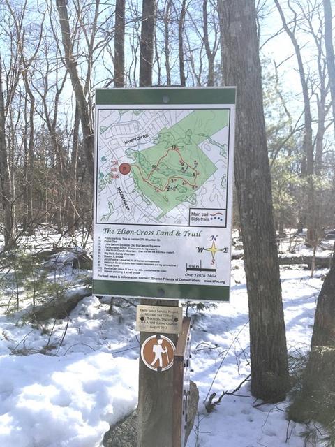 243 Hampton Rd, Sharon, MA 02067 photo 33