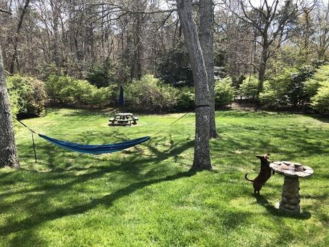 20 Thread Needle Ln, Barnstable, MA 02632 photo 4