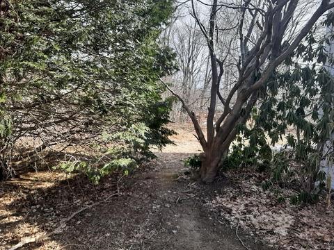 33 Pond St, Georgetown, MA 01833 photo 20