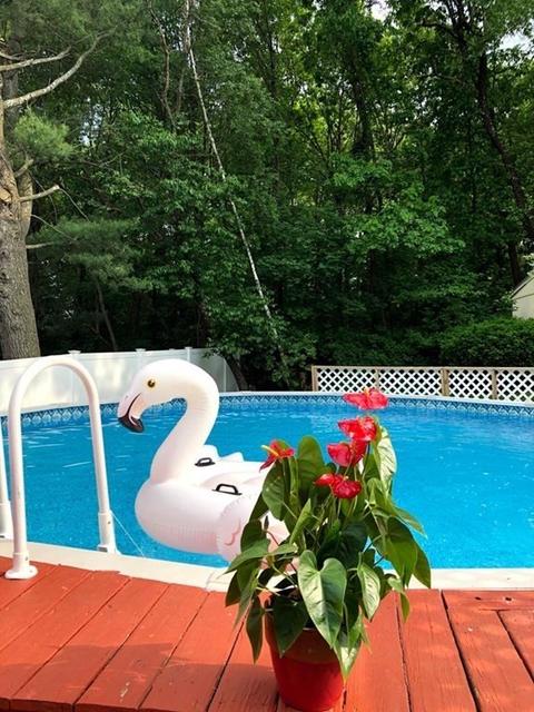 74 Comet Rd, Methuen, MA 01844 photo 8