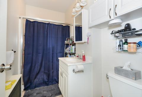 31 Benedict Rd, Worcester, MA 01604 photo 25