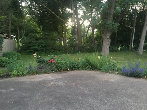 7 Haviland St, Worcester, MA 01602 photo 39