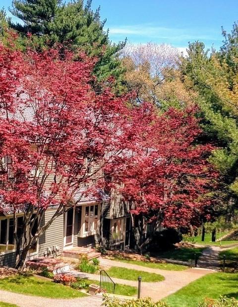 1 Deer Path #5, Maynard, MA 01754 photo 33
