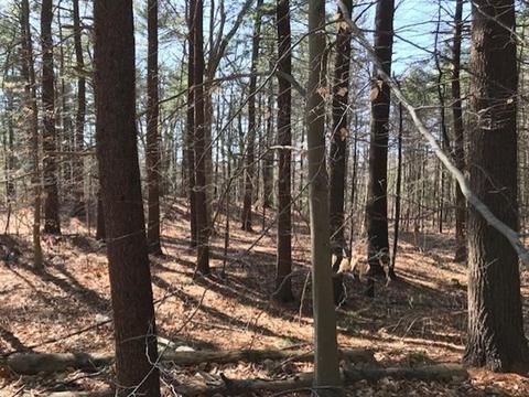213 Cushing St, Hingham, MA 02043 photo 4