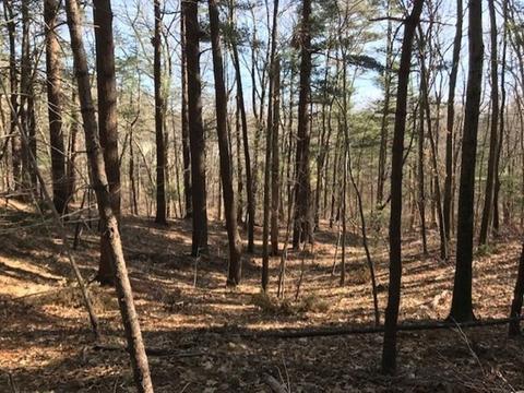 213 Cushing St, Hingham, MA 02043 photo 3