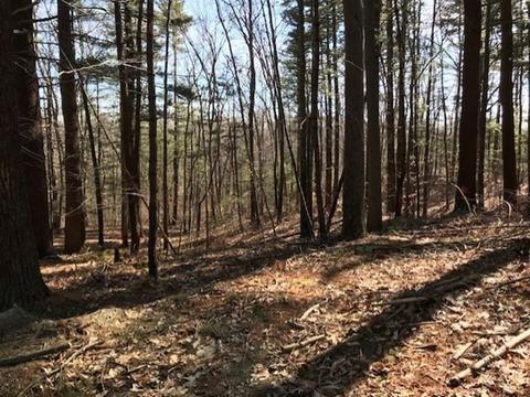 213 Cushing St, Hingham, MA 02043 photo 2