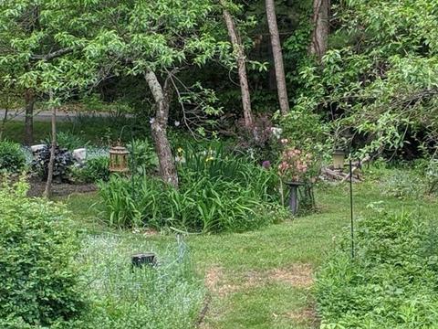 3 Whiffletree Ln, Georgetown, MA 01833 photo 27