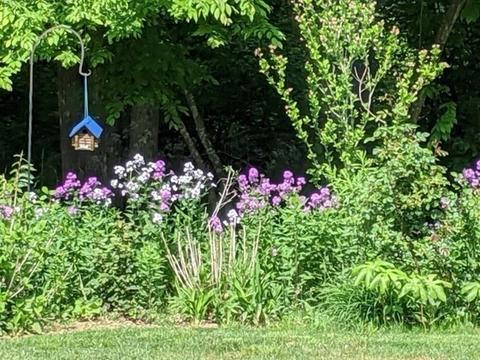3 Whiffletree Ln, Georgetown, MA 01833 photo 28