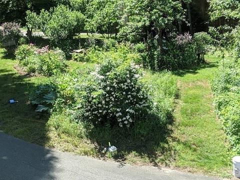 3 Whiffletree Ln, Georgetown, MA 01833 photo 26