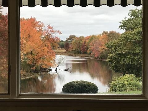 1885 Central Ave, Needham, MA 02492 photo 8