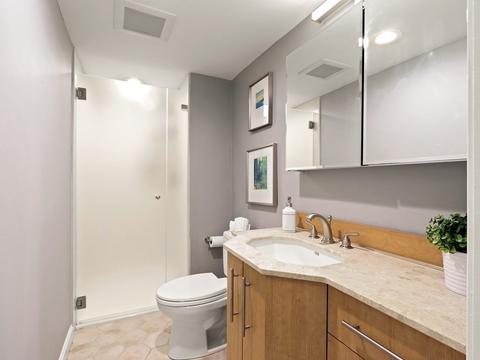 1605 Great Plain Ave, Needham, MA 02492 photo 19