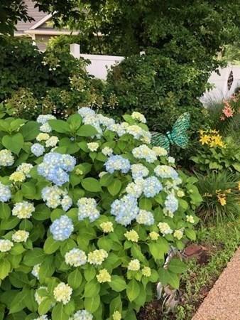 60 Winstead Ave, Dedham, MA 02026 photo 34
