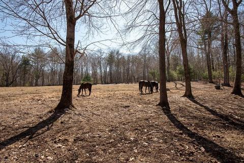 55 Town Farm Rd, Sutton, MA 01590 photo 35