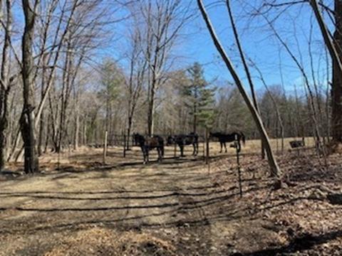 55 Town Farm Rd, Sutton, MA 01590 photo 36