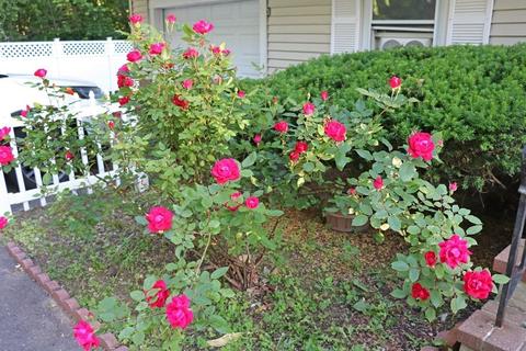 3 Alden Ave E, Randolph, MA 02368 photo 33