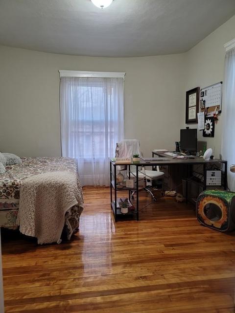 6 Delaware St, Worcester, MA 01603 photo 8